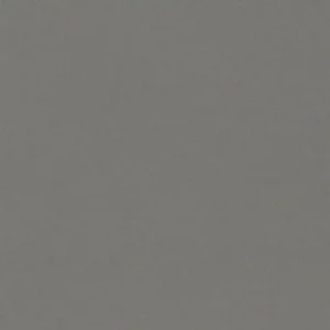 Konglomerat kwarcowy Gobi Grey