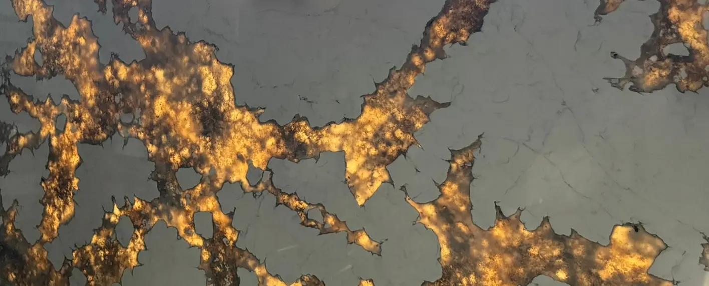 Nowa oferta w sklepie - blaty transparentne z konglomeratu kwarcowego SiQuartz