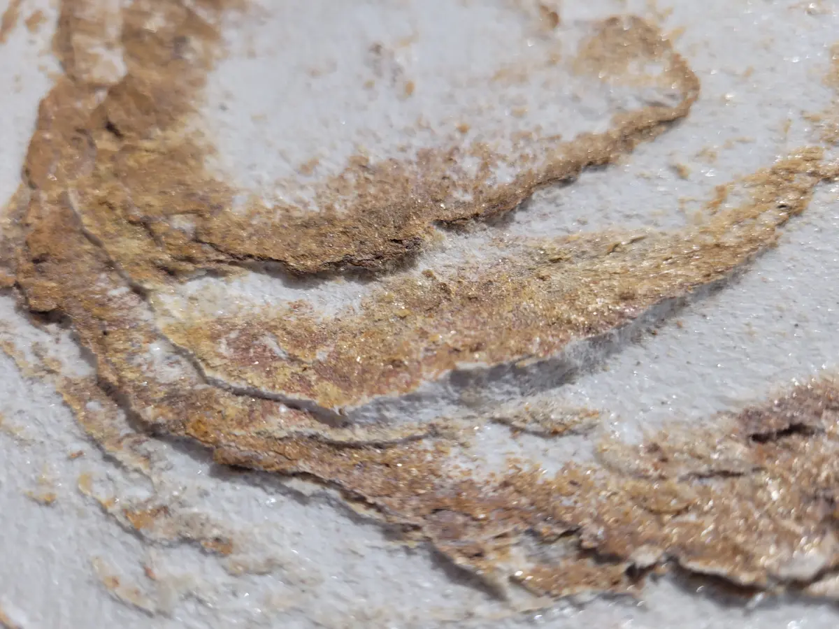 Fornir Łupek Gold Pearl