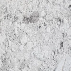 Fornir kamienny granit Fosil Granite