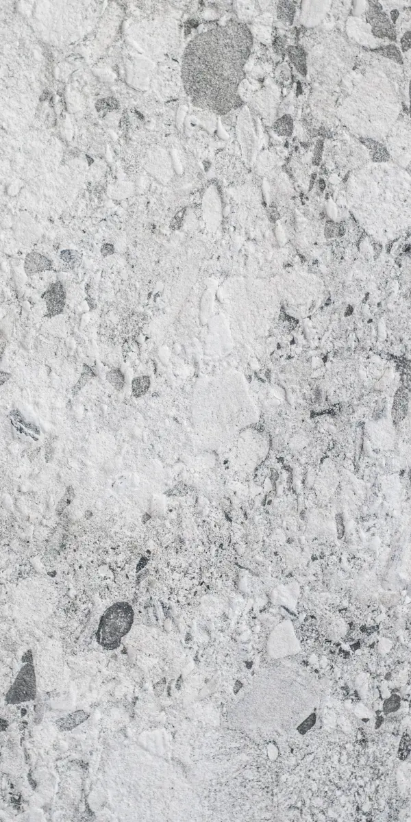 Fornir kamienny granit Fosil Granite